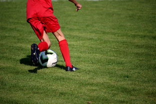 开云·Kaiyun网页版-中国篮球职业联赛俱乐部青训体系建设及实践探索，职业篮球青年队