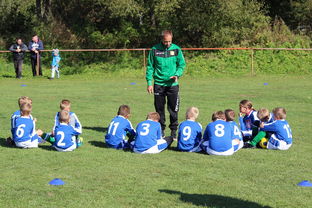 开云官网登录-德甲球队构建战术模拟平台提升临场应变能力，德甲模式